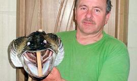 Milžinės lydekos galvą bandys išdžiovinti