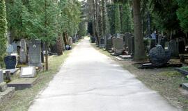 Kapinėse vogti bandžiusiam jaunuoliui - 70 dienų areštas