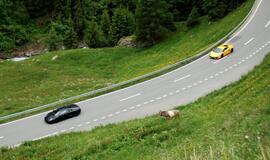 Šveicarijoje įvyko "Lamborghini" savininkų susitikimas