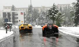 Šveicarijoje įvyko "Lamborghini" savininkų susitikimas