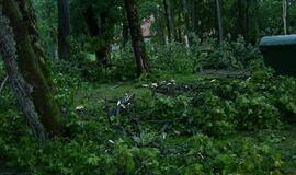 Audra Švėkšnoje penktadienį vartė medžius