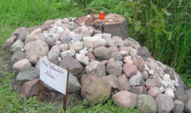 Mingėje – rekviem naikinamai gamtai