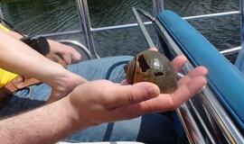 Šiaurės Amerikos pakrantė