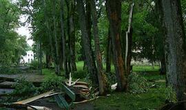 Audra Švėkšnoje penktadienį vartė medžius