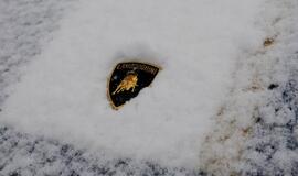 Šveicarijoje įvyko "Lamborghini" savininkų susitikimas