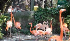 Šiaurės Amerikos pakrantė