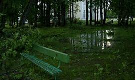 Audra Švėkšnoje penktadienį vartė medžius