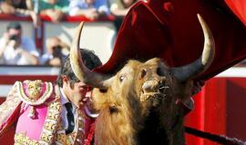 Bridžit Bardo sveikina koridos uždraudimą Katalonijoje