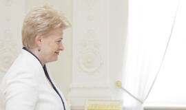 D. Grybauskaitė: Lietuvai reikia suskystintų dujų terminalo