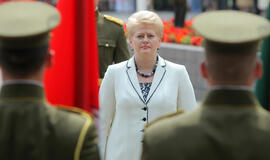 Dalia Grybauskaitė raginama vetuoti Savivaldybių tarybų rinkimų įstatymą