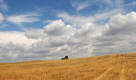Karščiai Rusiją užplūdo dėl klimato kaitos, teigia aplinkosaugininkai