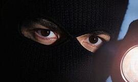 Kaukėtiems vagims durys buvo atviros