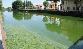 Danės upė mėlynuoja