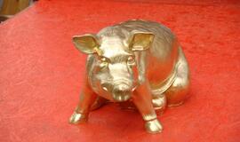 Jūros šventė 2010 įsisiūbuoja