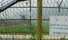 Pietų Korėjos sieną su Šiaurės Korėja saugos robotai