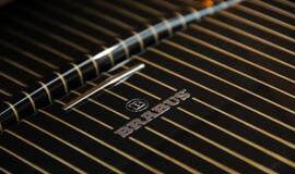 "Biuras" ant ratų: "Apple" ir "Brabus" sedanas "iBusiness"