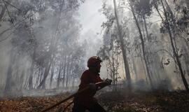 Portugalijos ugniagesiai kovoja su miškų gaisrais