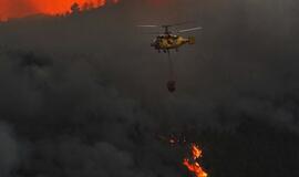 Portugalijos ugniagesiai kovoja su miškų gaisrais