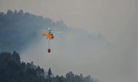 Portugalijos ugniagesiai kovoja su miškų gaisrais