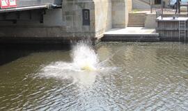 Nuo Biržos tilto į upę nušoko vyras