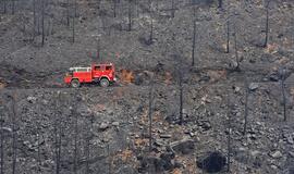 Portugalijos ugniagesiai kovoja su miškų gaisrais