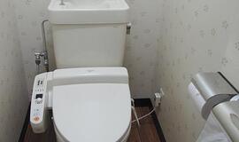 Senoji ir naujoji Japonija