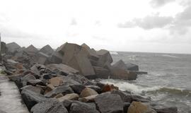 Audringas trečiadienis Klaipėdoje: Melnragė