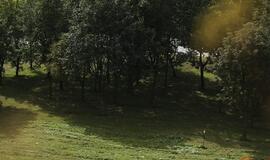 Slovakai nepatenkinti čigonų kaimynyste