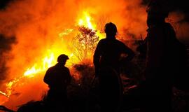 Portugalijos ugniagesiai kovoja su miškų gaisrais