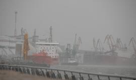 Audringas trečiadienis Klaipėdoje: Melnragė