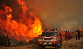 Portugalijos ugniagesiai kovoja su miškų gaisrais