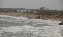 Audringas trečiadienis Klaipėdoje: Melnragė
