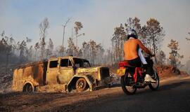 Portugalijos ugniagesiai kovoja su miškų gaisrais