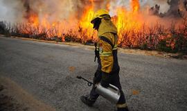 Portugalijos ugniagesiai kovoja su miškų gaisrais