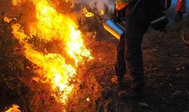 Portugalijos ugniagesiai kovoja su miškų gaisrais