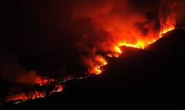 Portugalijos ugniagesiai kovoja su miškų gaisrais