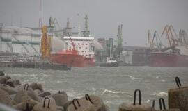 Audringas trečiadienis Klaipėdoje: Melnragė