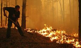 Rusai nuostolius dėl nepaprastų karščių įvertino 15 mlrd. dolerių