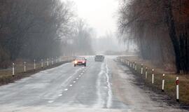 Šilutė-Rusnė - kelių erelių &quot;magistralė“