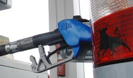 Automobilio vagis pagautas per savo žioplumą