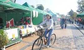 Palangoje surengta "Tūkstančio stalų" šventė