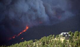 Miškų gaisrai Kolorade (JAV) sunaikino 136 namus