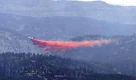 Miškų gaisrai Kolorade (JAV) sunaikino 136 namus