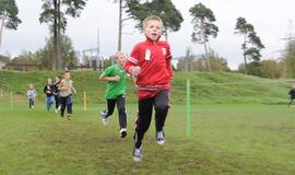 Klaipėdoje vyksta krosas dėl "Vakarų ekspreso" taurių