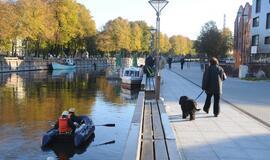 Danės upėje pastebėti neaiškūs teršalai