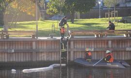 Danės upėje pastebėti neaiškūs teršalai