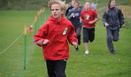 Klaipėdoje vyksta krosas dėl "Vakarų ekspreso" taurių