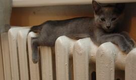 Dauguma lietuvių nedarė nieko, kad šildymui išleistų mažiau