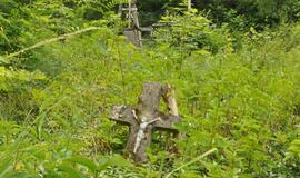 Kapavietėje galima sodinti net obelis