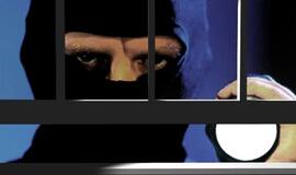 Kaukėtas ir ginkluotas plėšikas išsigando šeimininko